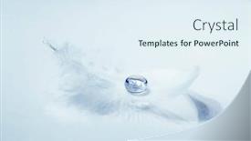  Presentation with water drop - Cool new PPT theme with bird-feather-with-a-transparent backdrop and a sky blue colored foreground