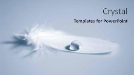  Presentation with water drop - Slide deck featuring bird-feather-with-water-drop background and a light blue colored foreground