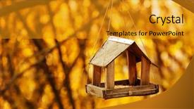  Presentation with joshua tree national park - Cool new presentation with bird feeder hanging on tree backdrop and a gold colored foreground