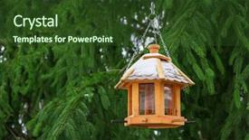  Presentation with bird - Colorful PPT theme enhanced with birdfeeder - bird feeders in the winter backdrop and a tawny brown colored foreground