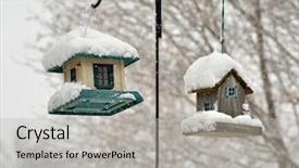  Presentation with bird - PPT theme with loss and downward growing trend background and a  colored foreground.