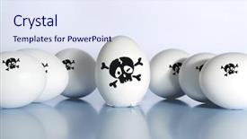  Presentation with bird flu - PPT theme featuring bird flu virus h5n1 background and a sky blue colored foreground