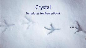  Presentation with footprints - Presentation theme with bird footprints in snow background and a sky blue colored foreground