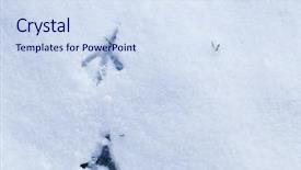  Presentation with footprints - Presentation design enhanced with bird footprints in snow background and a sky blue colored foreground