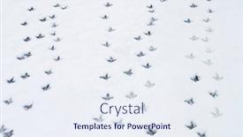  Presentation with footprints - Presentation theme having bird-footprints-in-the-snow background and a sky blue colored foreground