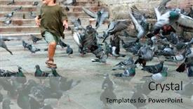  Presentation with how to be happy - Slide deck consisting of bird go - happy boy running among pigeons background and a  colored foreground