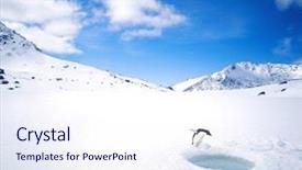  Presentation with pair eyes looking down - Presentation design with bird go - penguin looking down a hole background and a sky blue colored foreground