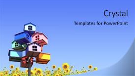  Presentation with sunflowers - Slide set enhanced with bird house - colorful nesting boxes and sunflowers background and a light blue colored foreground