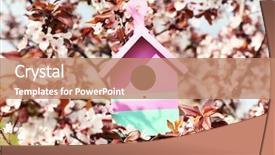  Presentation with cramped inside the box - Slide set featuring bird house - decorative nesting box on bright background and a coral colored foreground