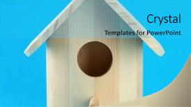  Presentation with box - Beautiful presentation featuring bird house - nesting box on color background backdrop and a cyan colored foreground