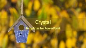  Presentation with fall leaves - Colorful slide deck enhanced with bird house or bird box backdrop and a  colored foreground