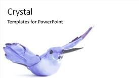  Presentation with bird - Audience pleasing PPT layouts consisting of bird isolated on white backdrop and a white colored foreground