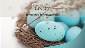  Presentation with bird eggs - Slide set enhanced with bird-nest-with-easter-quail background and a mint green colored foreground