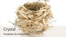  Presentation with reflection - Beautiful presentation theme featuring bird nest with reflection backdrop and a soft green colored foreground