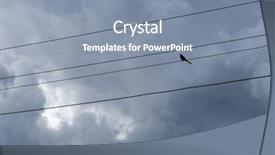  Presentation with wires - Amazing PPT layouts having bird on wires backdrop and a seafoam green colored foreground