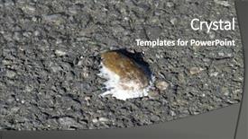  Presentation with pavement - Theme having bird poop on pavement background and a  colored foreground