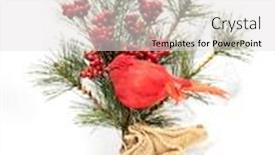  Presentation with cardinal - Amazing slide deck having bird-red-cardinal-and-branch backdrop and a light gray colored foreground