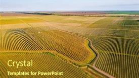  Presentation with agronomy - PPT theme featuring bird-s-eye-view background and a tawny brown colored foreground