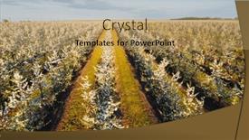  Presentation with agronomy - Slide deck consisting of bird-s-eye-view background and a coral colored foreground