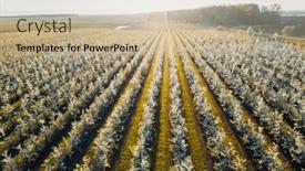  Presentation with agronomy - Slide set consisting of bird-s-eye-view background and a mint green colored foreground