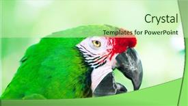  Presentation with colourful education - PPT layouts enhanced with isolated on white background game background and a lemonade colored foreground.