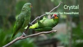  Presentation with art bird tattoos come - Presentation theme featuring bird sitting on the perch background and a tawny brown colored foreground