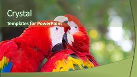  Presentation with art bird tattoos come - Theme featuring bird sitting on the perch background and a tawny brown colored foreground