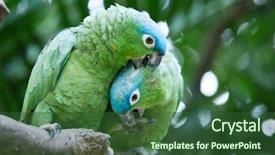  Presentation with art bird tattoos come - Slides featuring bird sitting on the perch background and a forest green colored foreground