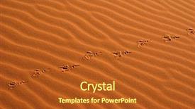  Presentation with sahara - Amazing theme having bird steps in the sand backdrop and a crimson colored foreground