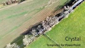  Presentation with country photo - Cool new slide deck with bird track - english countryside country lane road backdrop and a yellow colored foreground