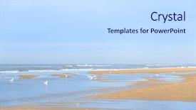  Presentation with sea - Audience pleasing PPT theme consisting of bird track - landscape in holland backdrop and a light gray colored foreground