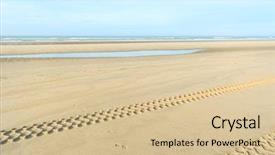  Presentation with sea and beach - Presentation theme enhanced with bird track - landscape in holland background and a soft green colored foreground