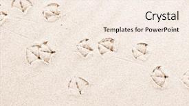  Presentation with footprints sand - Theme enhanced with bird track - seagull footprints on sand beach background and a sky blue colored foreground