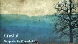  Presentation with aging - Audience pleasing PPT layouts consisting of bird tree - aging nature rural photography backdrop and a ocean colored foreground