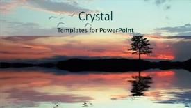  Presentation with end - Presentation design enhanced with bird tree - end of the day background and a sky blue colored foreground