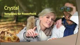  Presentation with forest - Presentation design enhanced with bird watching - autumn in the forest background and a tawny brown colored foreground