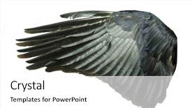 Presentation with angel wings - PPT theme enhanced with bird wings background and a white colored foreground