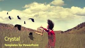  Presentation with filter - Cool new presentation theme with birdcage - girl walking through a field backdrop and a violet colored foreground