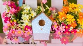  Presentation with spring tree - PPT layouts with birdhouse-hang-on-spring-tree background and a coral colored foreground