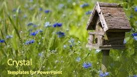  Presentation with spring - Cool new presentation design with birdhouse nestles among spring flowers backdrop and a tawny brown colored foreground