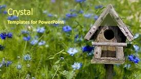  Presentation with spring - Beautiful slide deck featuring birdhouse nestles among spring flowers backdrop and a tawny brown colored foreground
