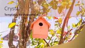  Presentation with tree - Slide deck having birdhouse-nestles-hanging-on-tree background and a coral colored foreground