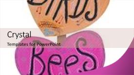  Presentation with birds - PPT layouts featuring birds and bees placard isolated background and a coral colored foreground