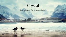  Presentation with birds - Audience pleasing slide set consisting of birds and mountain peak backdrop and a soft green colored foreground