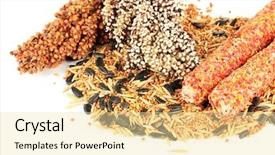  Presentation with food white - Colorful presentation design enhanced with birds cardinal - food for parrots isolated backdrop and a blonde colored foreground