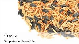  Presentation with food white - PPT theme having red sack scattered pile of golden coins background and a crimson colored foreground