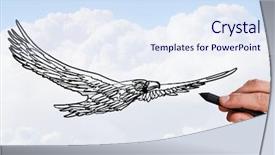  Presentation with eagle flying - Audience pleasing slide deck consisting of birds drawings - person drawing flying eagle bird backdrop and a sky blue colored foreground