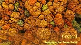  Presentation with holistic - PPT theme having birds-eyes-view-from-drone background and a tawny brown colored foreground