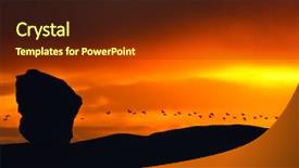  Presentation with antarctic - Slide deck enhanced with birds fly in the background background and a tawny brown colored foreground