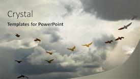  Presentation with birds flying - Beautiful PPT theme featuring birds-flying-against-blue-sky backdrop and a light gray colored foreground